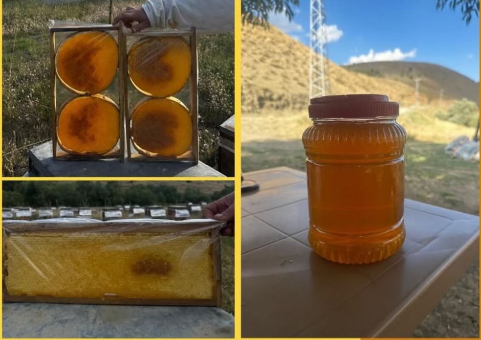 Pulat Arıcılık ve Bal Ürünleri